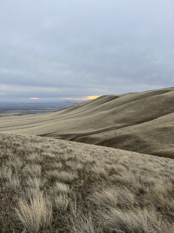 The highest point in your county Life In A Pack