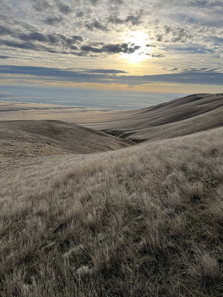 Rattlesnake Conservancy